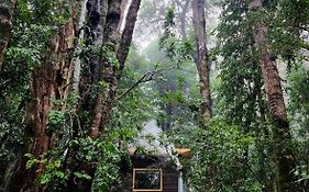 Cabaña Alto del Bosque